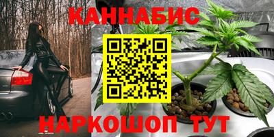 прущие крисы Нальчик