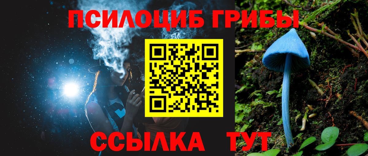 Псилоцибиновые грибы мицелий Трёхгорный